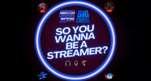 Mega Ran & Big Cheese - SO YOU WANNA BE A STREAMER