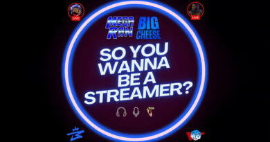 Mega Ran & Big Cheese - SO YOU WANNA BE A STREAMER