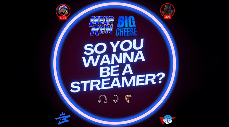 Mega Ran & Big Cheese - SO YOU WANNA BE A STREAMER