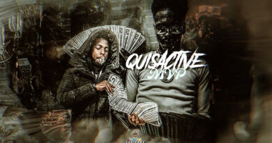 QuisActive - MVP