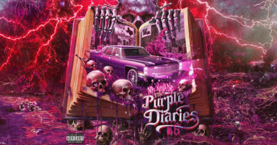 Mr Neva Die - The Purple Diaries, Vol. 6