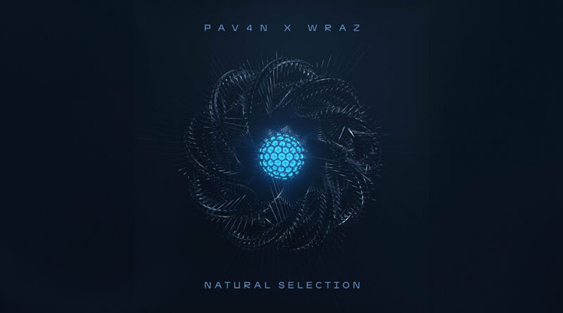 PAV4N & Wraz. - Natural Selection