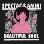 Spectac & Amiri - Beautiful Soul