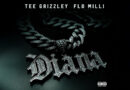 Tee Grizzley - Diana