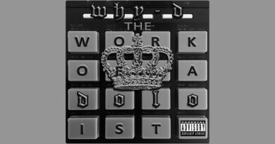 Why-D - The Work Of A Doloist