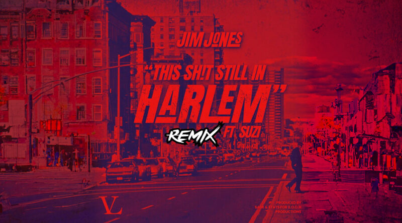 Jim Jones - This Sh!T Still in Harlem (Remix)