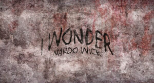 Nardo Wick - I Wonder