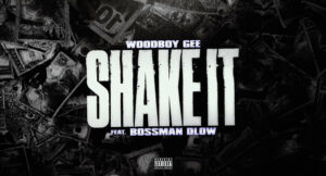 Woodboy Gee - Shake It