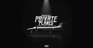 DeeBaby - Private Planes