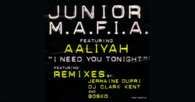 Junior M.A.F.I.A. - I Need You Tonight [So So Def Remix]