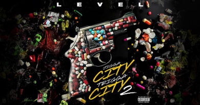 Level - Jigga City Trigga City 2