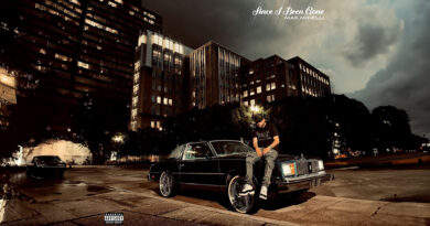 Max Minelli - Since I Been Gone