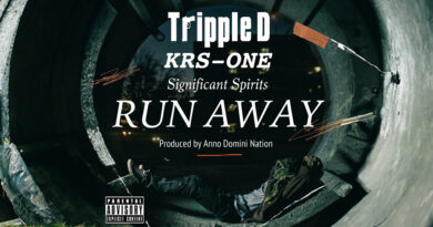 Tripple D - Run Away