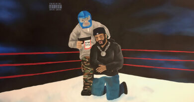 Action Figure 973 - Dark Side Of The Ring 2