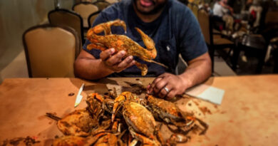 B.Eveready - Crab Season