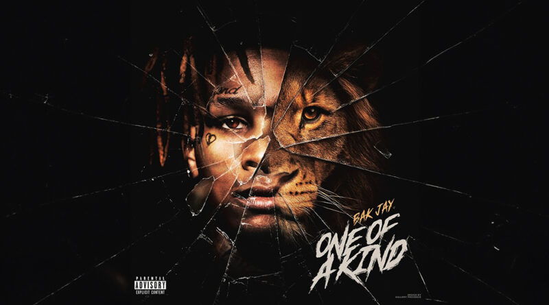 BAK Jay - One of a Kind