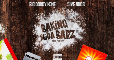 Big Daddy Kane - Baking Soda Barz