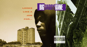 Big Daddy Kane - Looks Like A Job For...