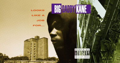 Big Daddy Kane - Looks Like A Job For...