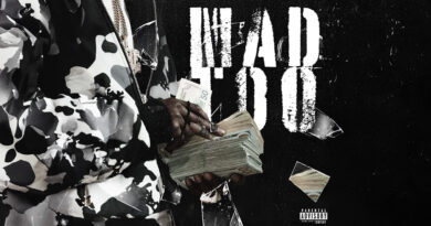 Chicken P - Mad Too