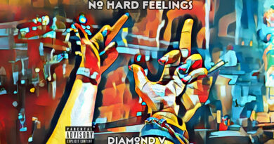 Diamond V - No Hard Feelings