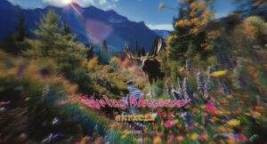 Grvnola - Spring Blossoms