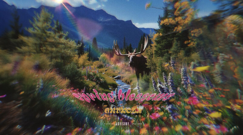 Grvnola - Spring Blossoms
