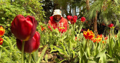 Jay Exodus - Flowers Never Bloom Before The Sun Comes