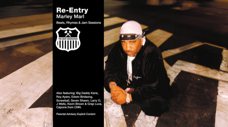 Marley Marl - Re-Entry