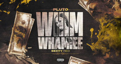 Pluto - WHIM WHAMIEE [Remix]