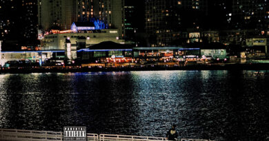 Sidchase & Dylvinci - The Rabbit That Built The Boy 2