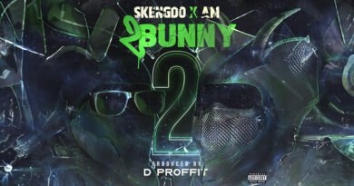 Skengdo & AM & D Proffit - 2 Bunny 2