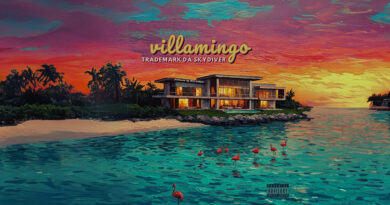Trademark Da Skydiver - Villamingo