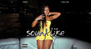 310babii - sound like