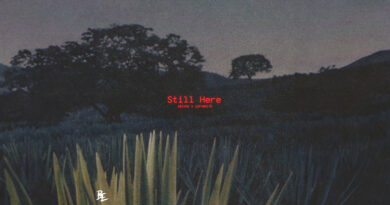 Absyrd - Still Here