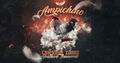 Ampichino - Chickens Today, Feathers Tomorrow
