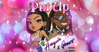 Anycia & Quavo - Put Up