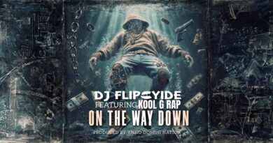 DJ Flipcyide - On The Way Down
