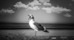 Evil Ebenezer - Real One