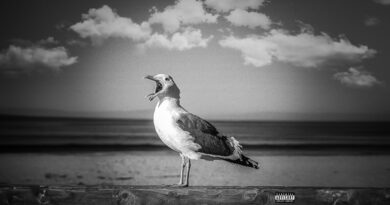 Evil Ebenezer - Real One