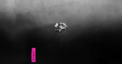Little Simz - Lotus