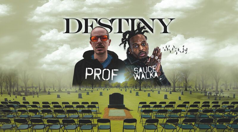 Prof & Sauce Walka - Destiny
