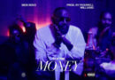 Rick Ross - For the Money