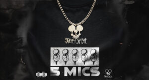 Source Chi - 5 MICS