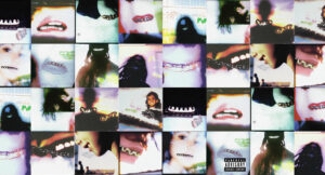 Cochise - BRACES