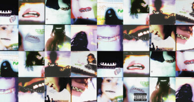 Cochise - BRACES