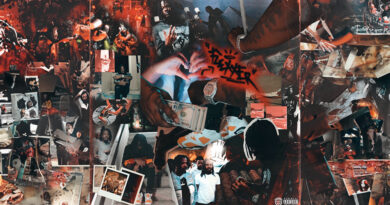 Flexxer - Sticks N Stones