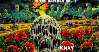 K. Hay - IN THE HAYFIELD, Vol. 1