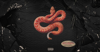 Mick Jenkins - Snakes