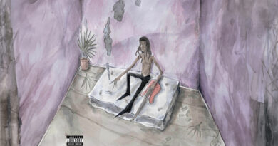 Sk8star - PALE FEVER